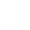 WordPress-Website-Development